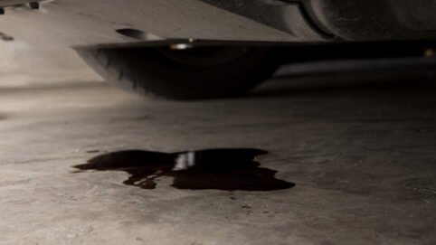 MINI Crank Seal Oil Leak